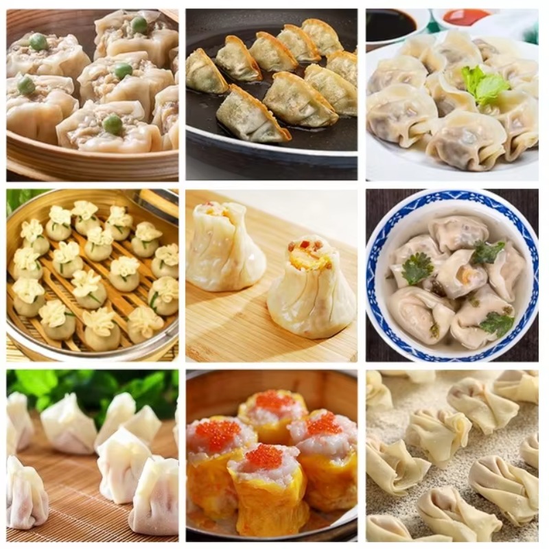 Machine à raviolis industriell - Gyoza Dumpling Maker avis et prix