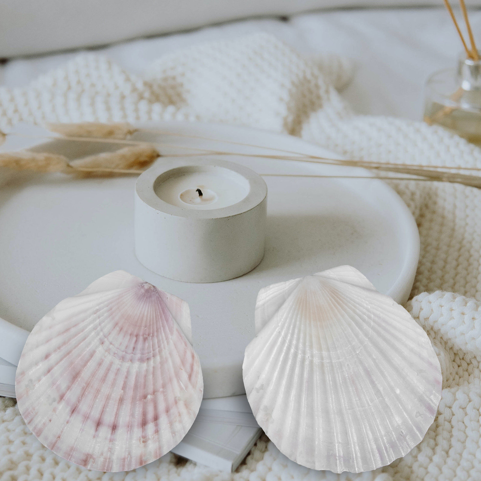 10 coquilles de pétoncle natur - Mom'S Home Cooking avis et prix